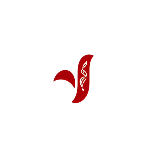 Viet Vibe Foundation logo